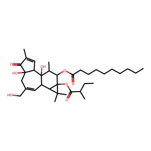12-O-Decanoylphorbol-13-(2-methylbutyrate) structure