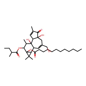 12-O-(2-Methylbutyroyl)phorbol-13-dodecanoate structure