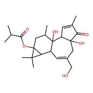 12-Deoxyphorbol 13-isobutyrate structure