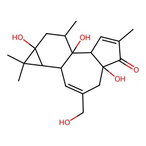 12-Deoxyphorbol structure