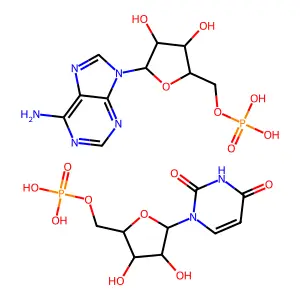 [(2R,3S,4R,5R)-5-(6-aminopurin-9-yl)-3,4-dihydroxyoxolan-2-yl]methyl dihydrogen phosphate[(2R,3S,4R,5R)-5-(2,4-dioxopyrimidin-1-yl)-3,4-dihydroxyoxolan-2-yl]methyl dihydrogen phosphate structure