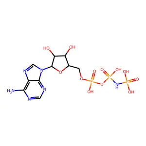 AMP-PNP structure