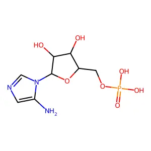 Aminoimidazole ribotide structure