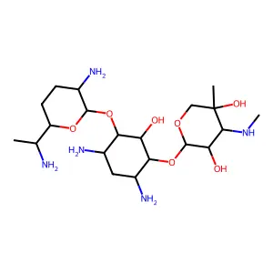 Gentamicin C2 structure