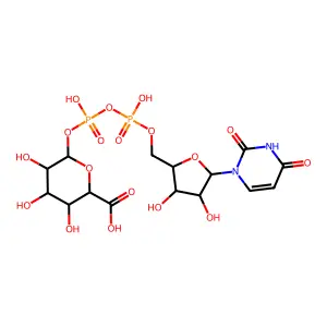 Udp-glucuronic acid structure