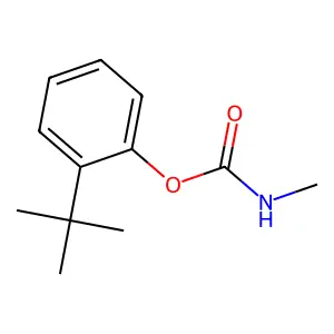 o-tert-Butylphenyl methylcarbamate structure