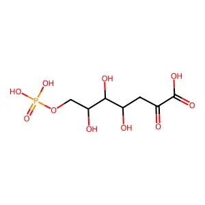 dahp structure