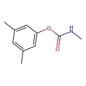 Cosban structure