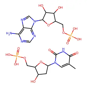 [(2R,3S,4R,5R)-5-(6-aminopurin-9-yl)-3,4-dihydroxyoxolan-2-yl]methyl dihydrogen phosphate[(2R,3S,5R)-3-hydroxy-5-(5-methyl-2,4-dioxopyrimidin-1-yl)oxolan-2-yl]methyl dihydrogen phosphate structure