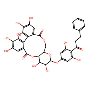 13-[3,5-dihydroxy-4-(3-phenylpropanoyl)phenoxy]-3,4,5,11,12,21,22,23-octahydroxy-9,14,17-trioxatetracyclo[17.4.0.02,7.010,15]tricosa-1(23),2,4,6,19,21-hexaene-8,18-dione structure