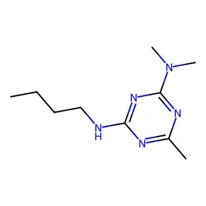 Compound C10H19N5 structure