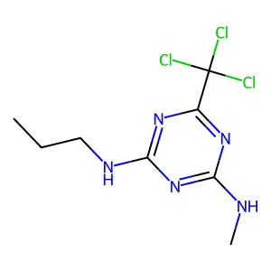 4-N-methyl-2-N-propyl-6-(trichloromethyl)-1,3,5-triazine-2,4-diamine structure