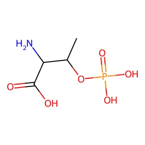 O-phosphonothreonine structure