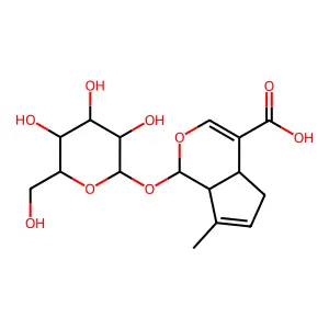 10-Deoxygeniposidic acid structure