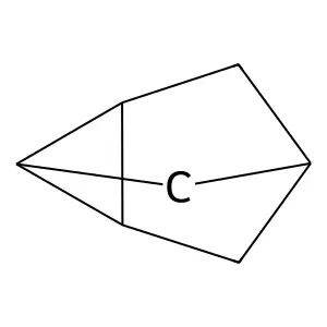 Nortricyclene structure