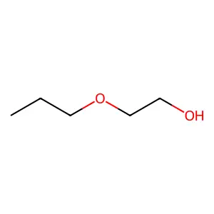 Compound C5H12O2 structure