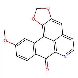 Lauterine structure