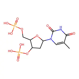 pdTp structure