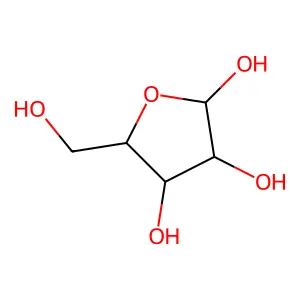 pentofuranose structure