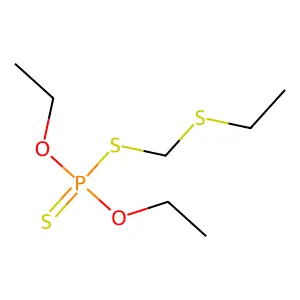 phorate structure