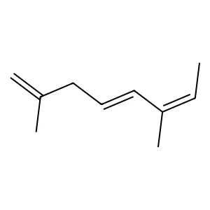 Compound C10H16 structure