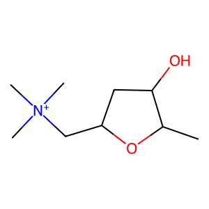 [(2S,4R,5S)-4-hydroxy-5-methyloxolan-2-yl]methyl-trimethylazanium structure