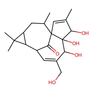 ingenol structure