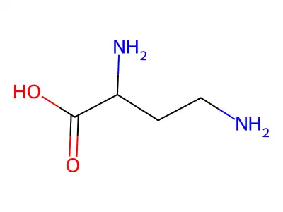 2,4-Diaminobutanoic acid structure