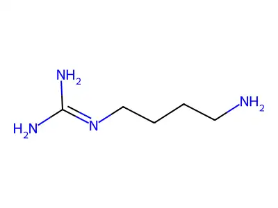 agmatine structure