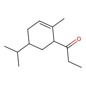 Nerone structure