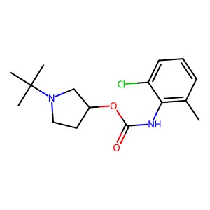 (1-tert-butylpyrrolidin-3-yl) N-(2-chloro-6-methylphenyl)carbamate structure
