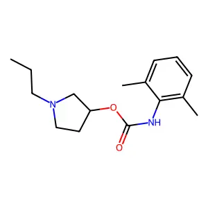 (1-propylpyrrolidin-3-yl) N-(2,6-dimethylphenyl)carbamate structure