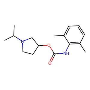 (1-propan-2-ylpyrrolidin-3-yl) N-(2,6-dimethylphenyl)carbamate structure