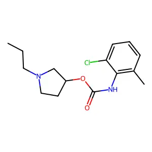 (1-propylpyrrolidin-3-yl) N-(2-chloro-6-methylphenyl)carbamate structure