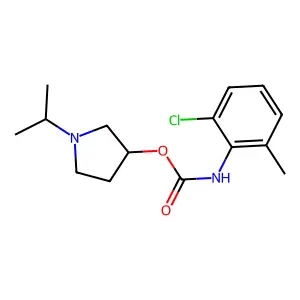 (1-propan-2-ylpyrrolidin-3-yl) N-(2-chloro-6-methylphenyl)carbamate structure