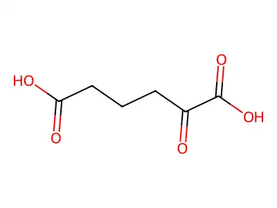 2-Oxoadipic acid structure