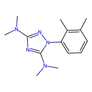 1-(2,3-dimethylphenyl)-3-N,3-N,5-N,5-N-tetramethyl-1,2,4-triazole-3,5-diamine structure
