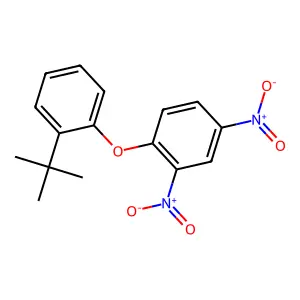 1-(2-tert-butylphenoxy)-2,4-dinitrobenzene structure