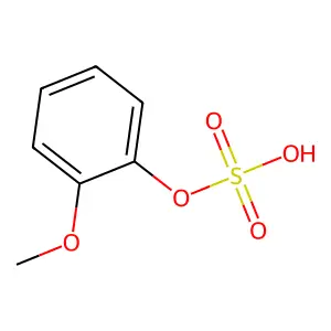o-Methoxyphenyl sulfate structure