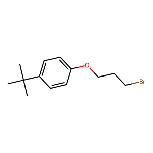 1-(3-bromopropoxy)-4-tert-butylbenzene structure