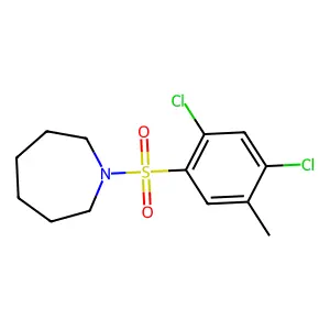 1-(2,4-dichloro-5-methylphenyl)sulfonylazepane structure