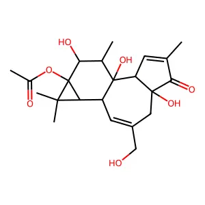 13-Acetylphorbol structure