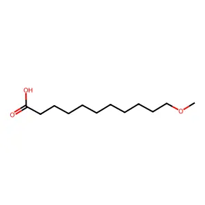 11-Methoxyundecanoic acid structure