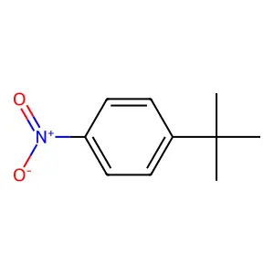 1-tert-Butyl-4-nitrobenzene structure