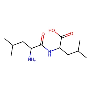 Leu-Leu structure