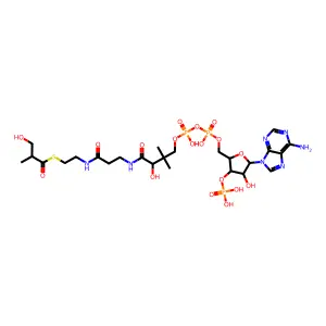 3-Hydroxyisobutyryl-CoA structure