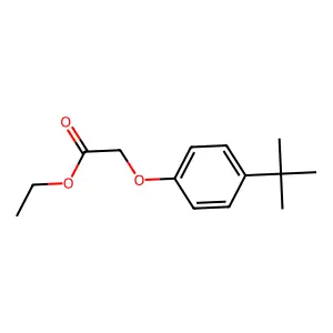 Ethyl (4-tert-butylphenoxy)acetate structure