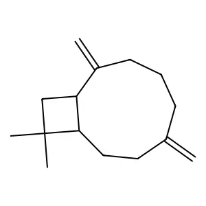 10,10-Dimethyl-2,6-dimethylenebicyclo[7.2.0]undecane structure