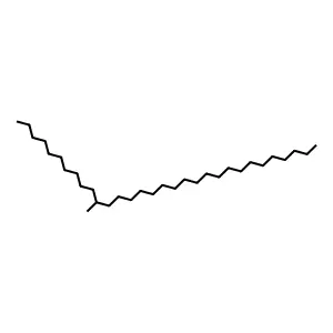 11-Methylhentriacontane structure