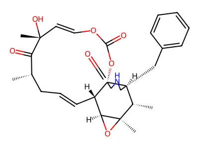 cytochalasin e structure